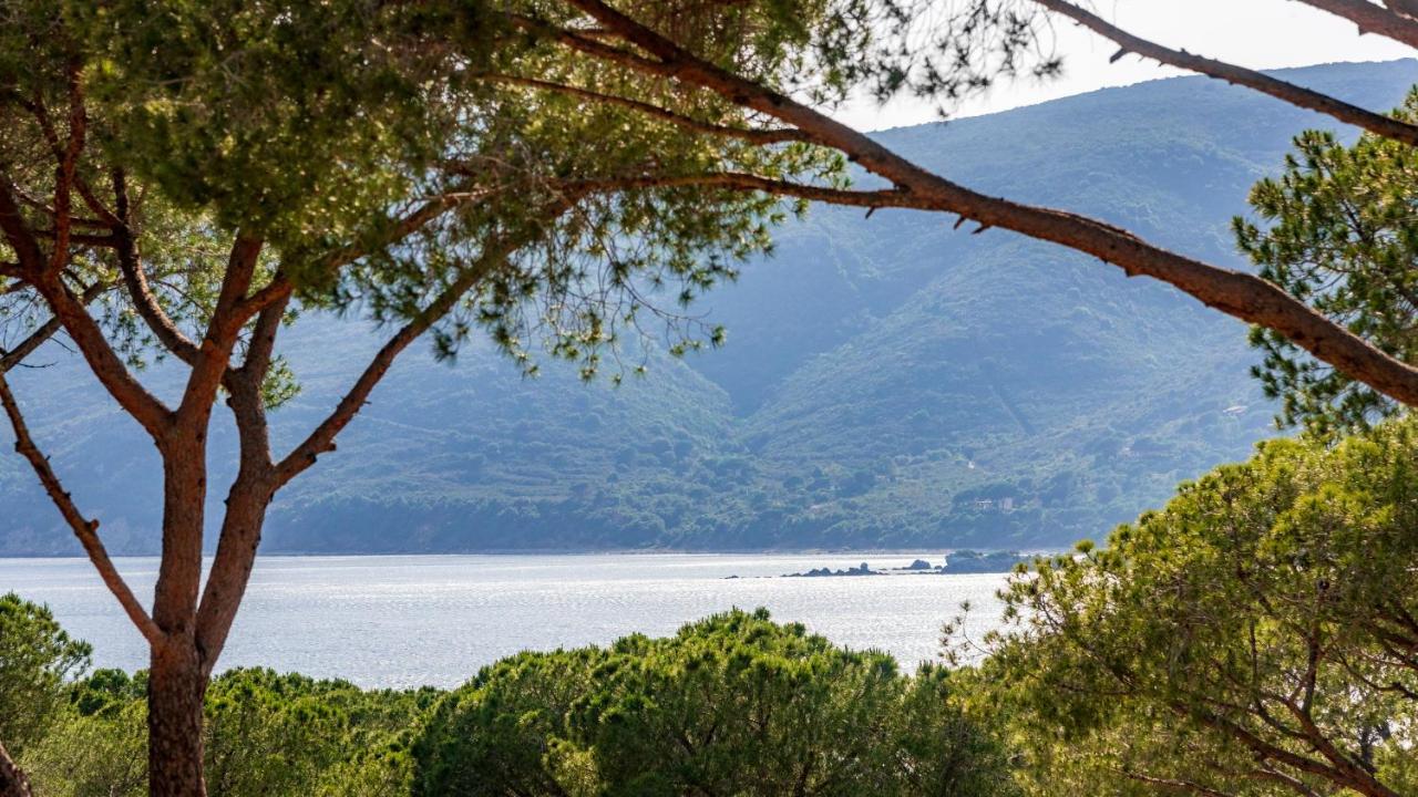 Camping Lacona Pineta Capoliveri  Exterior photo